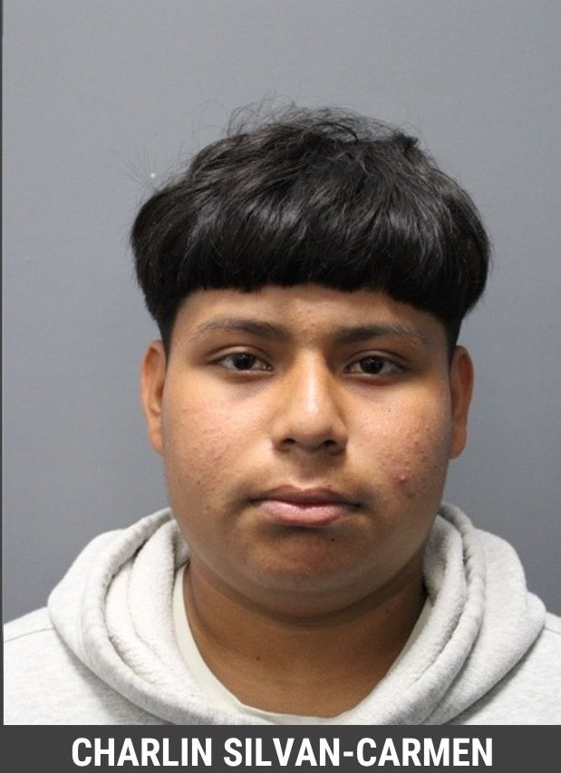 Libs of TikTok tweet media