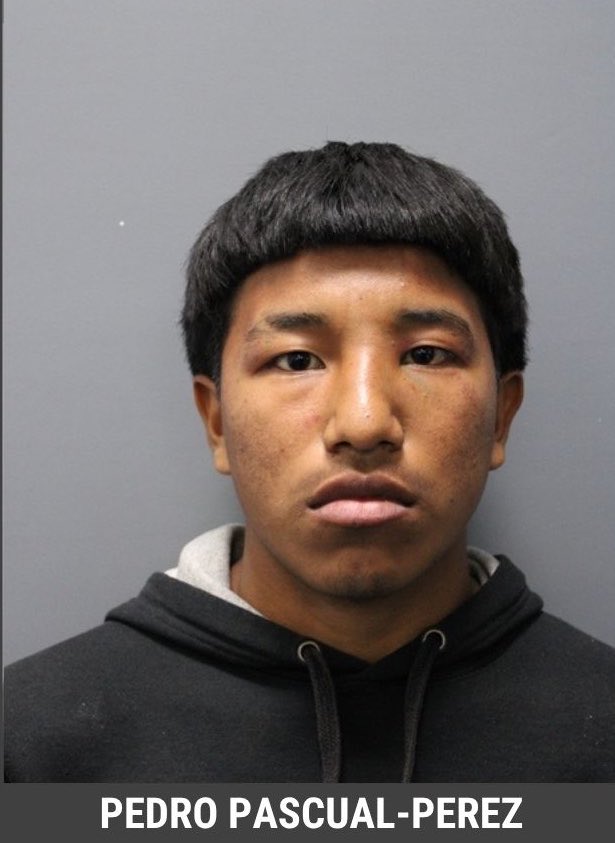 Libs of TikTok tweet media