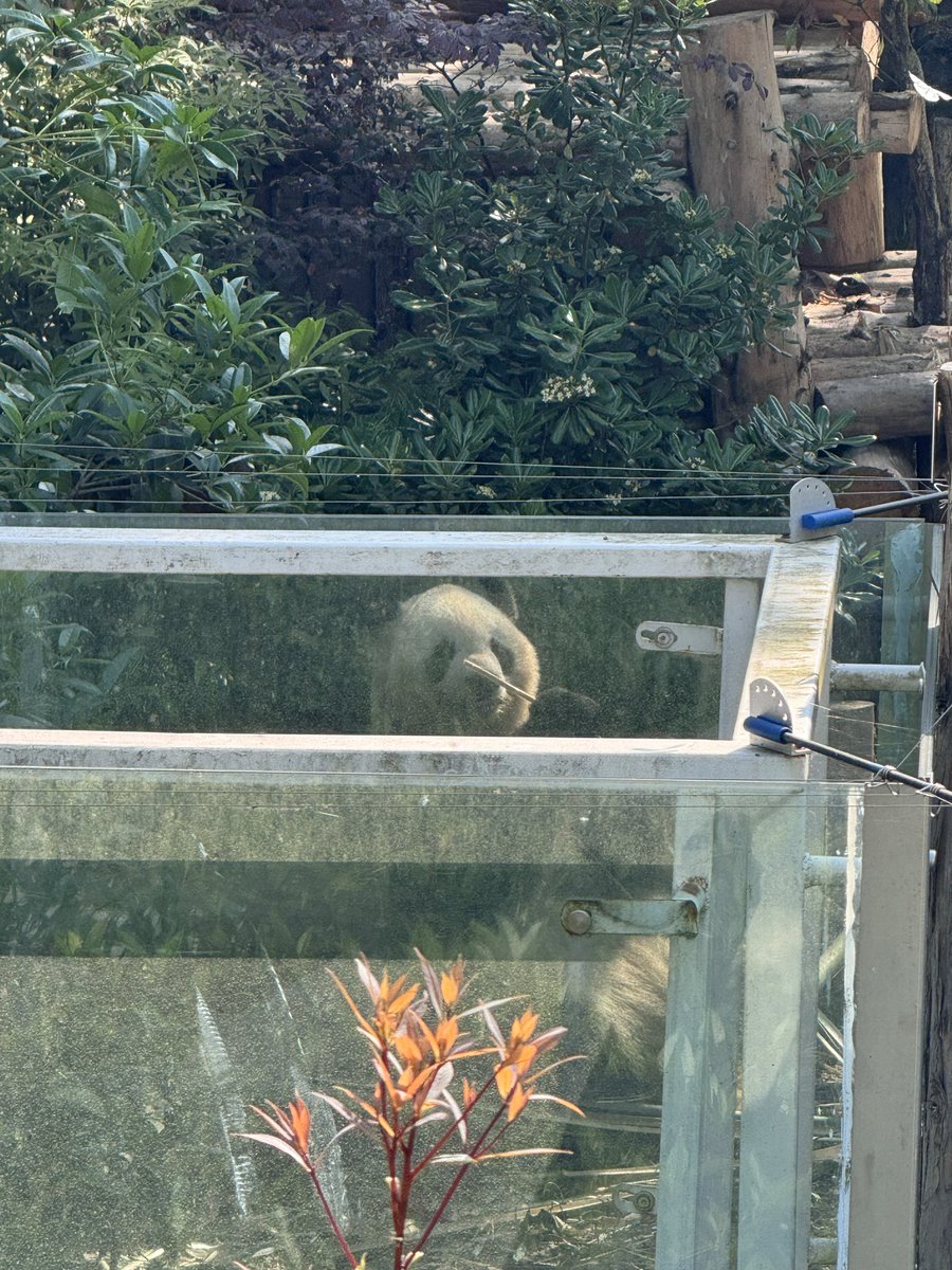 📸 260419 良浜
（如果带上自拍杆可能更方便拍摄🤔）