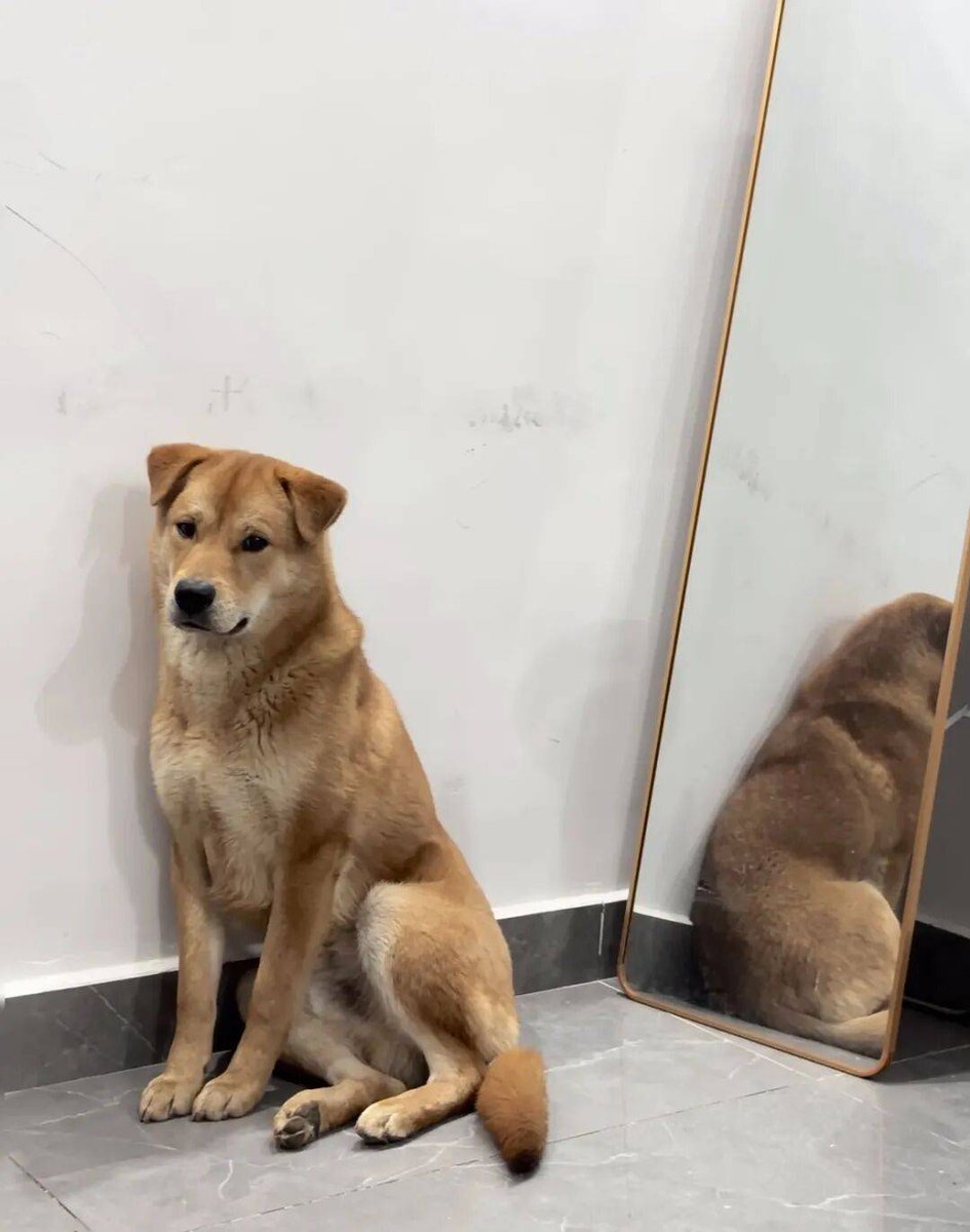 Sarah Wood Good tweet media