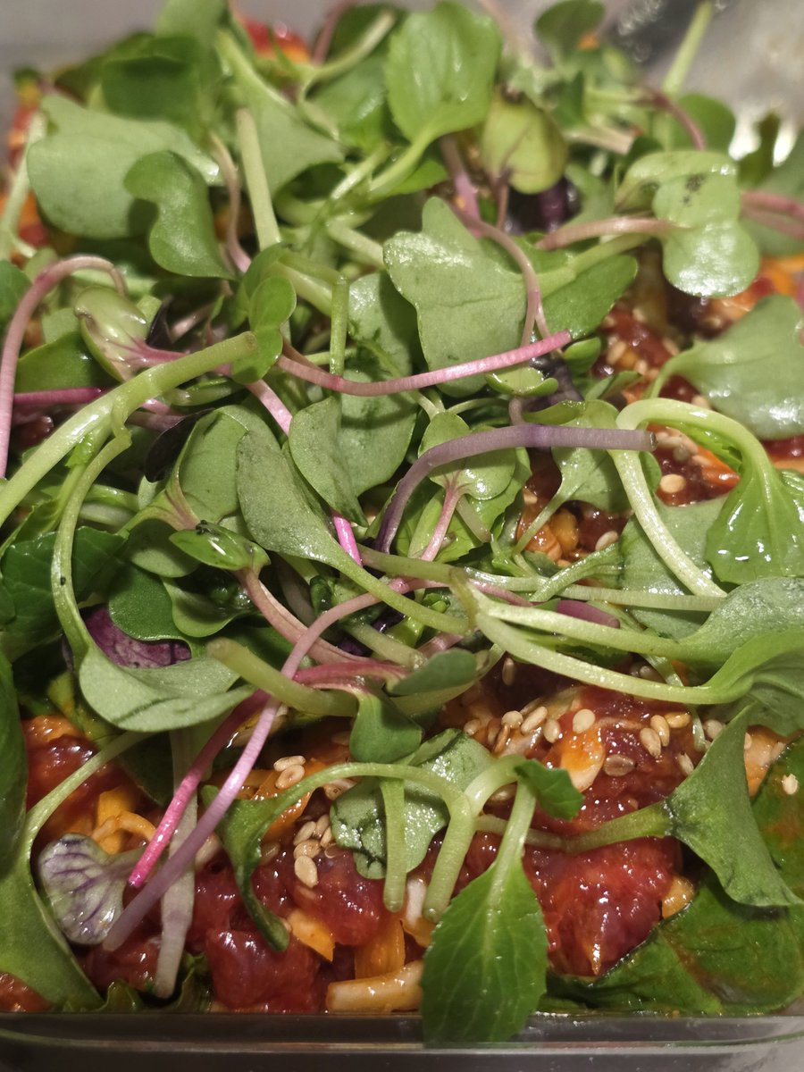 ℳ𝓎 ⭑.ᐟ tweet media