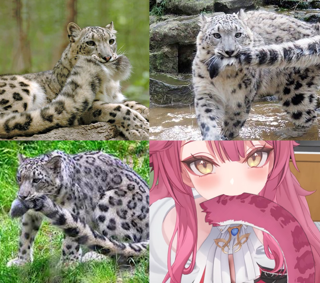 V Faction tweet media