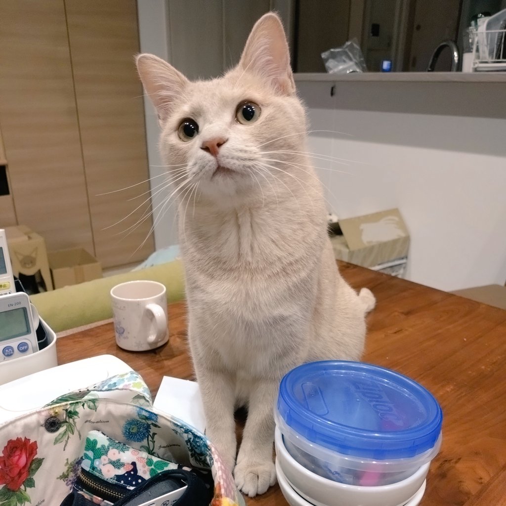 皆さま本日はお疲れ様でした🍻