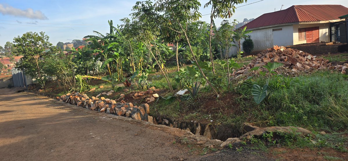 Macwilliams E.M tweet media