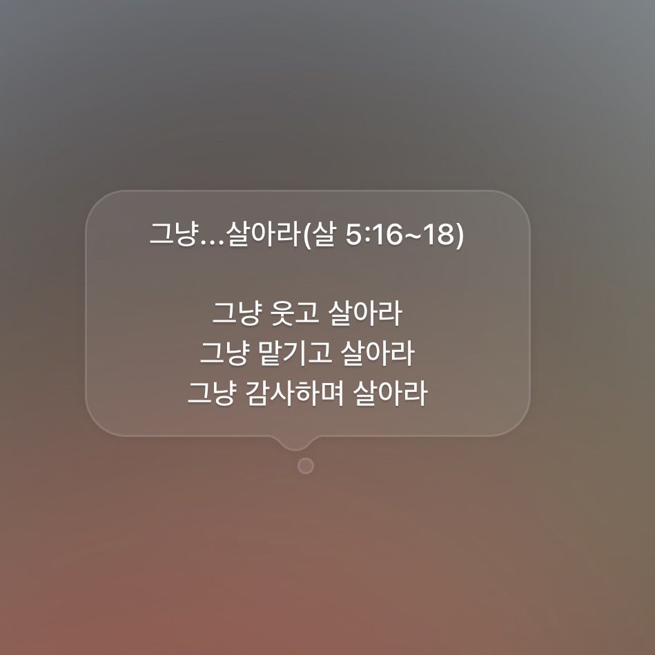 바위너구리 📚📝 tweet media