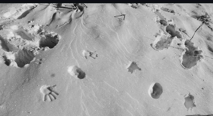 stanasposts's tweet image. #StanaKatic The proof is in the pudd...ing..?...... No wait! The snow! ❄️❄️❄️ The proof is in the snow!! 🤪❄️❄️❄️ #LeavingOurMarkOnThisWorld ❄️❄️❄️ #Winter