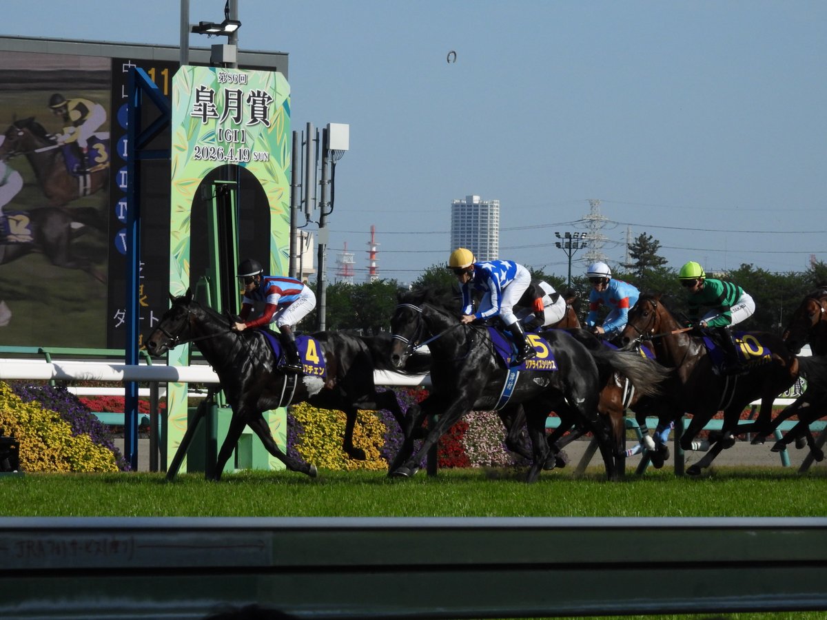 七面鳥 tweet media