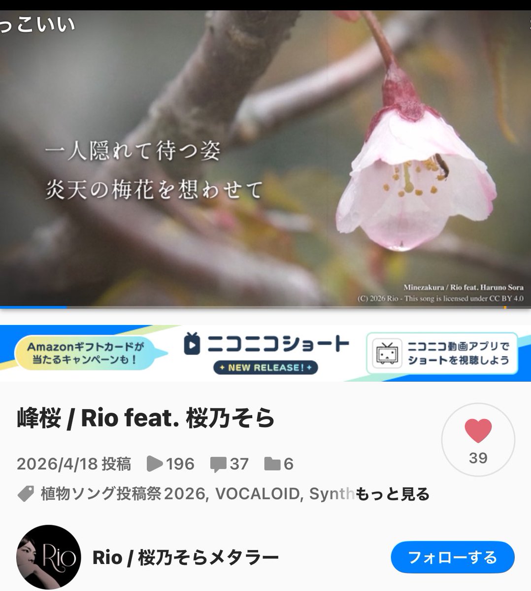 おばけサーカス👻 tweet media