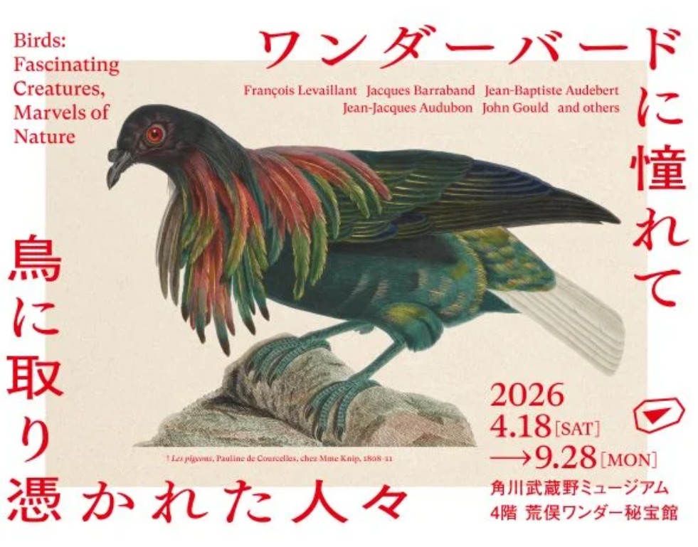 「ワンダーバードに憧れて　鳥に取り憑かれた人々」角川武蔵野ミュージアム(埼玉・東所沢)で9月28日(月)まで

博物学者たちの執着ともいえる鳥へのフェティシズムの歴史を追いながら、鳥に取り憑かれた人々の視線を博物画を通して追体験します。 artexhibition.jp/exhibitions/20…
