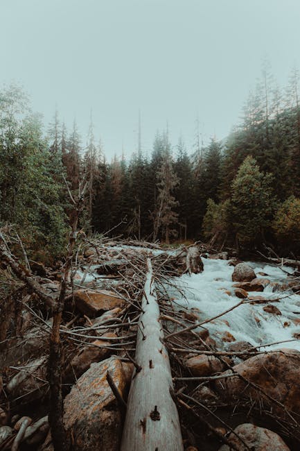 Christian Drake tweet media