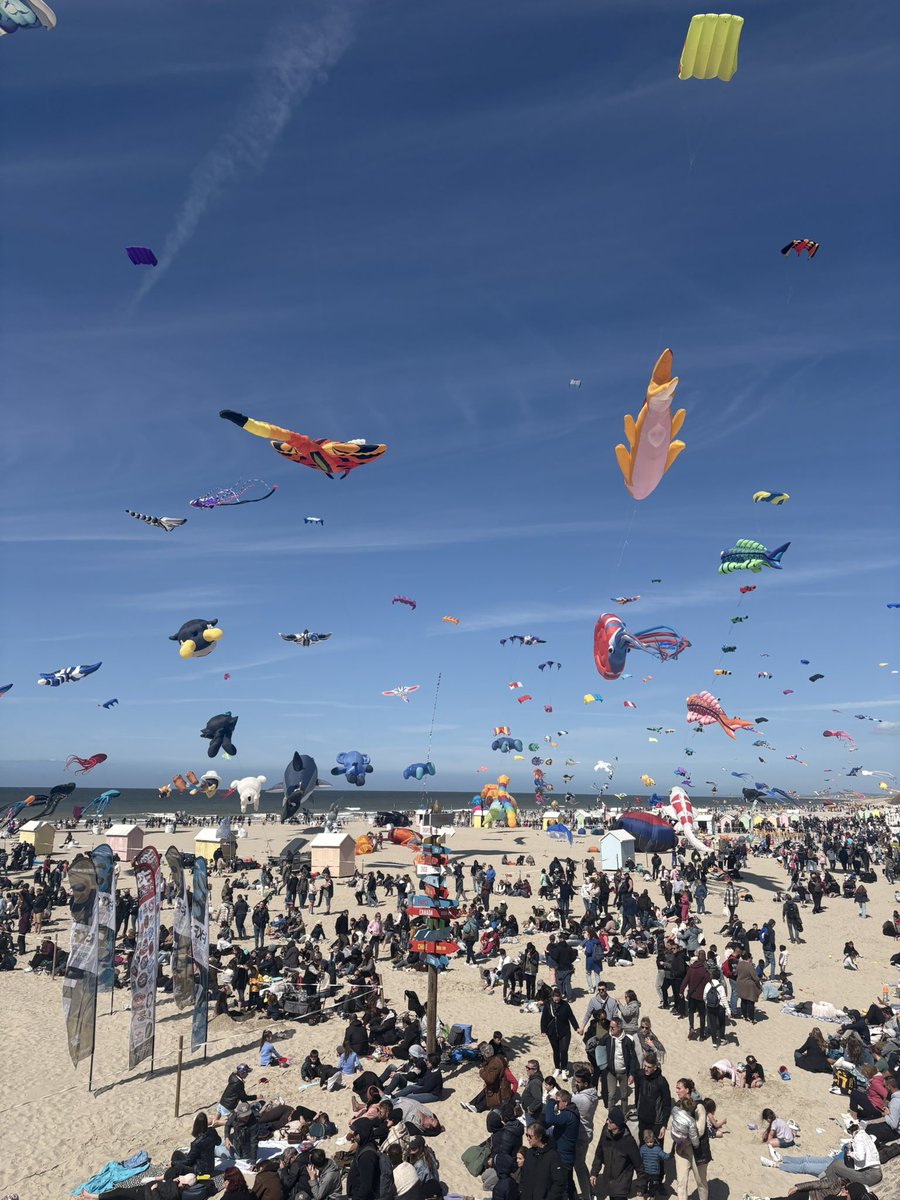 40N4 .° ༘🎧⋆ tweet media