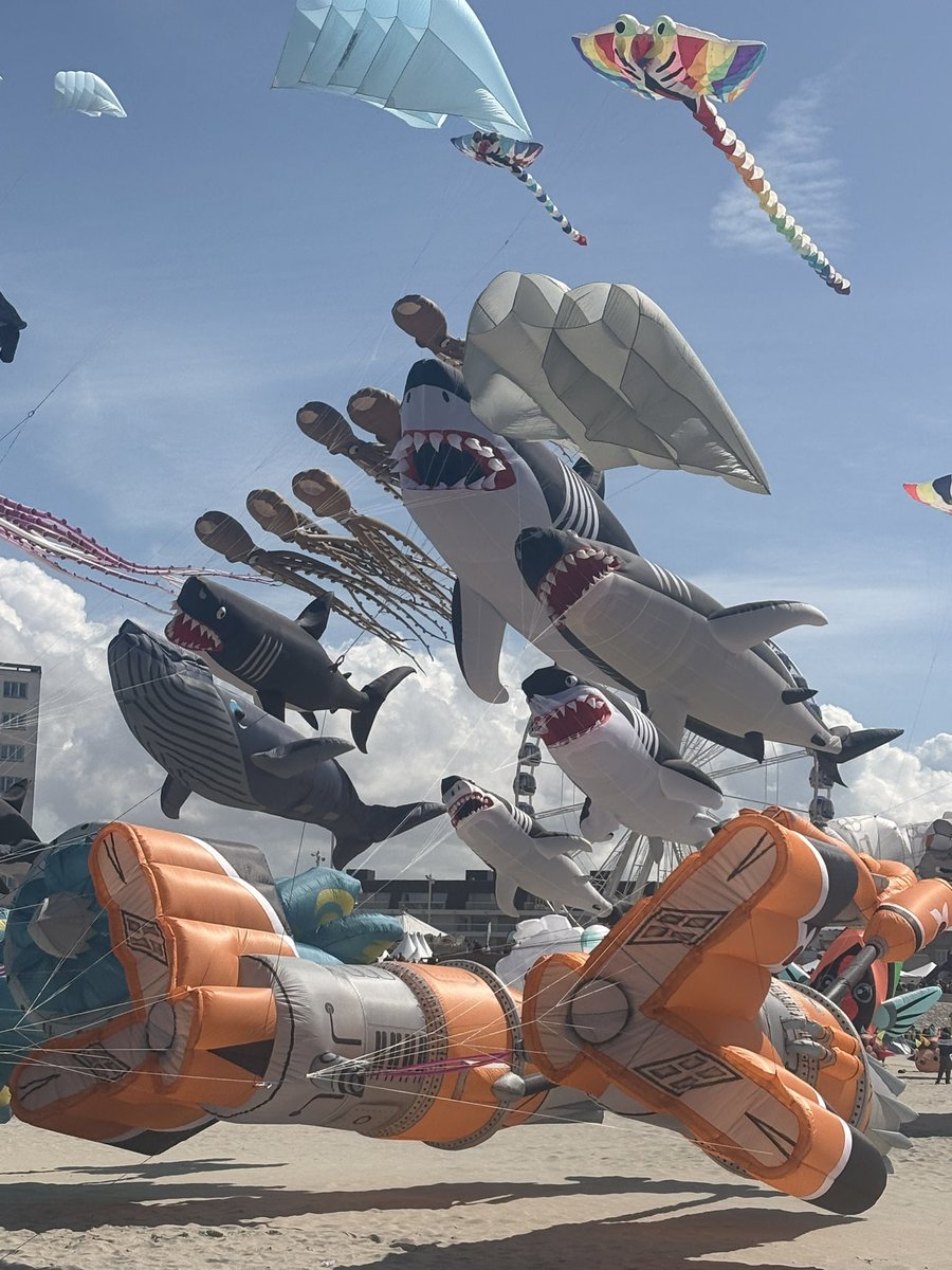 40N4 .° ༘🎧⋆ tweet media