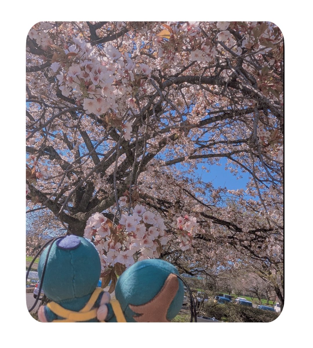 ナタ tweet media