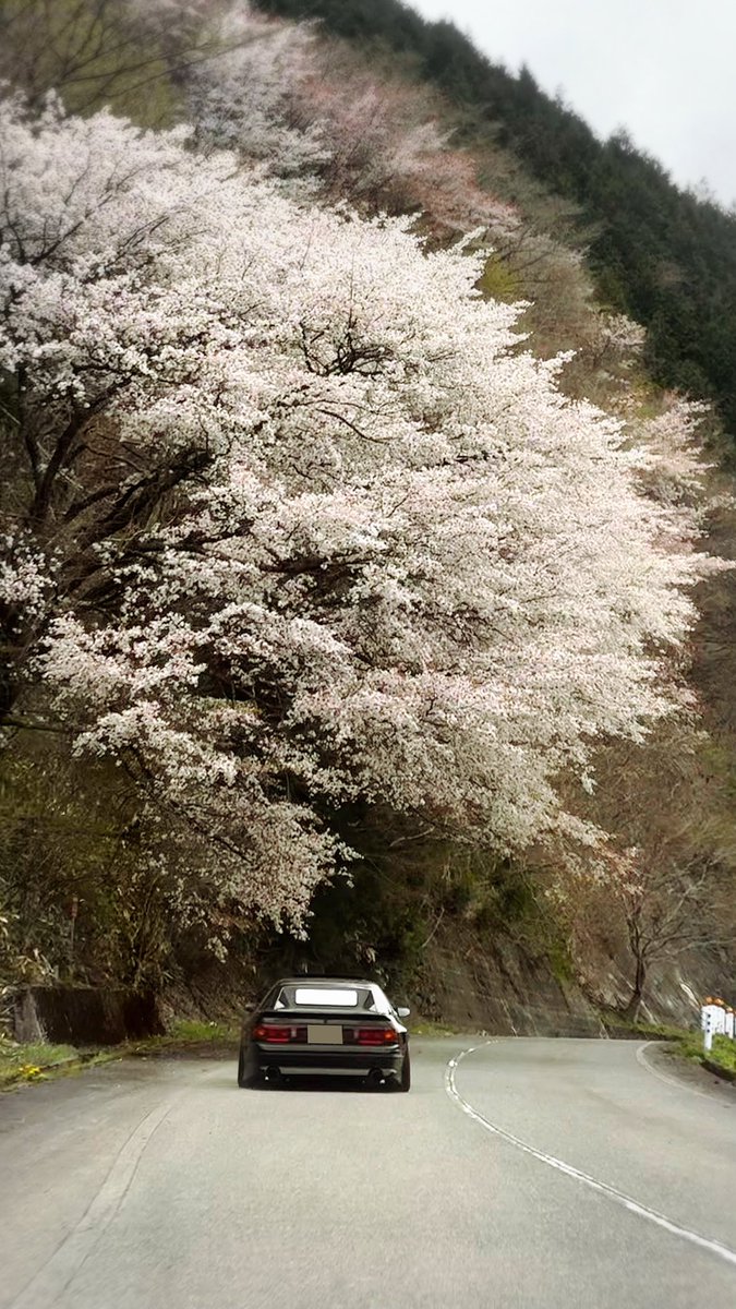 へなㄘょこ tweet media