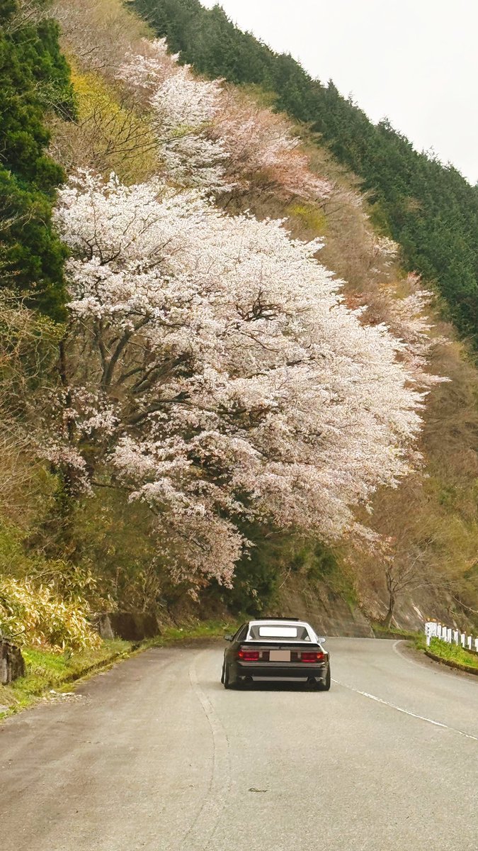 へなㄘょこ tweet media