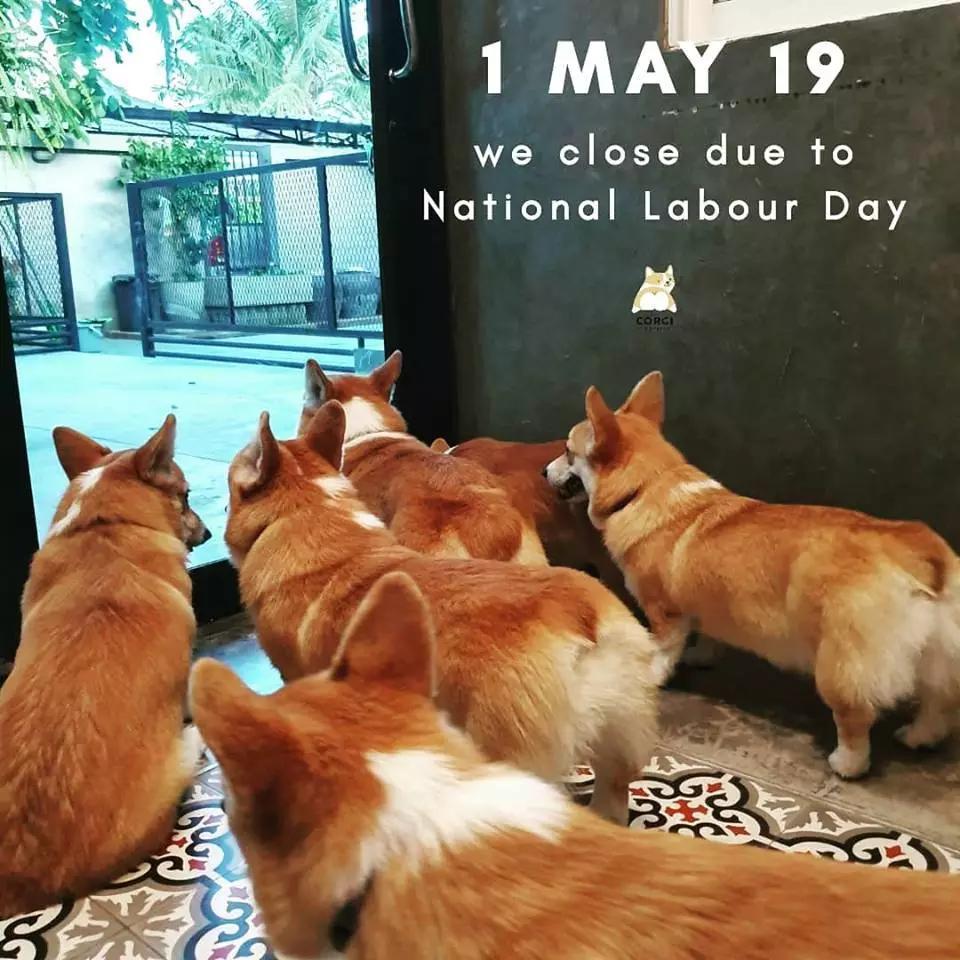 Laura Guaiquin vidal tweet media