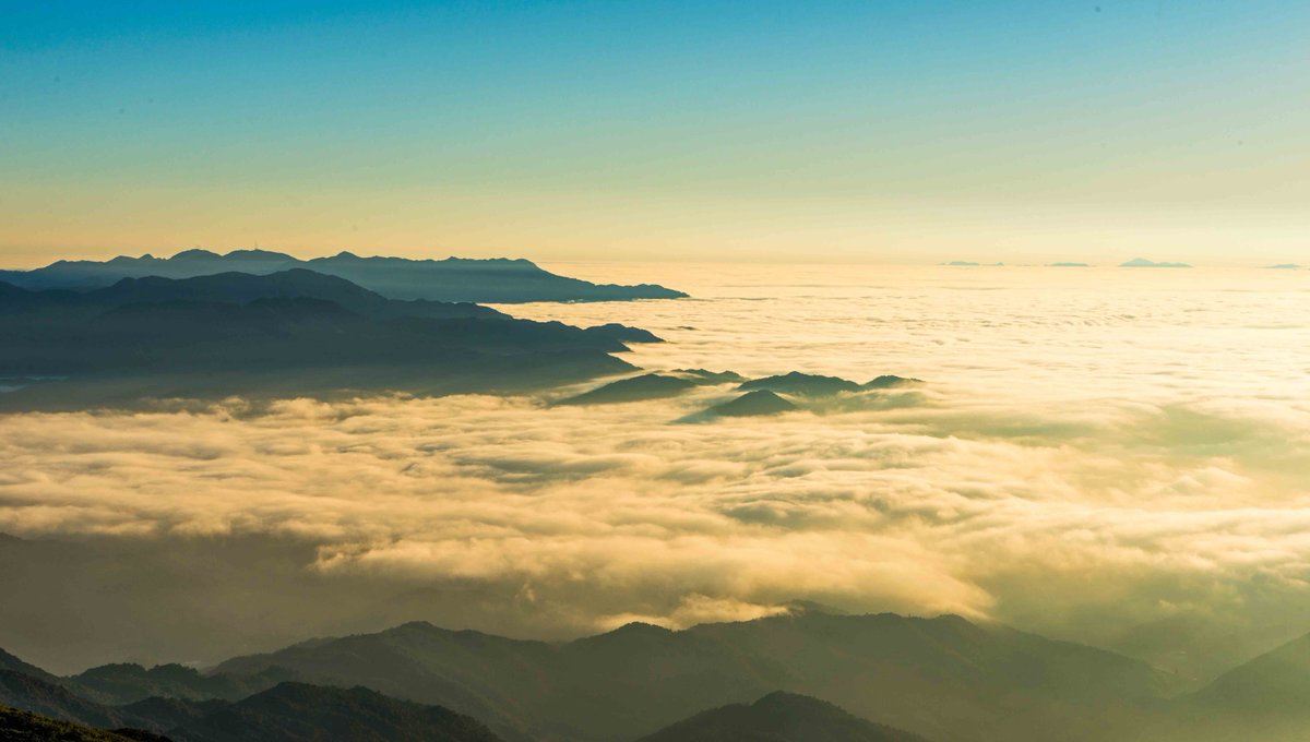 Mark James tweet media