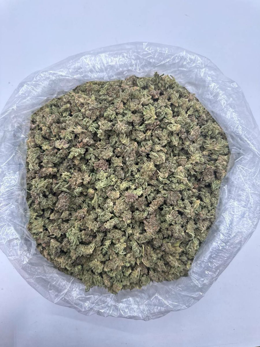 sincity seeds tweet media