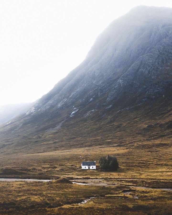 Emily 🦋 tweet media