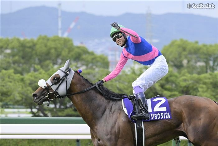 競馬ラボ tweet media