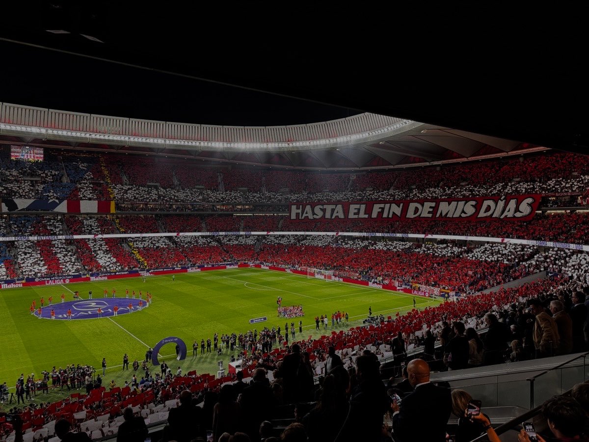 Hay cosas en la vida que tú no eliges; te eligen a ti. Una de ellas es el Atlético de Madrid. Sentirlo es vivirlo, quererlo es amarlo, y el amor, a veces, duele. Y el dolor te transforma y te enseña.

Estar mal, está bien, pero reponerse es necesario. Cabeza alta y a seguir.