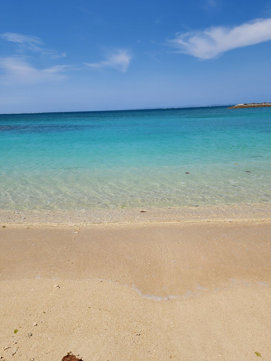 じじぃ tweet media