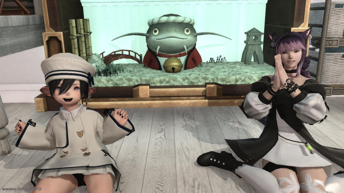 蒼雨リム tweet media