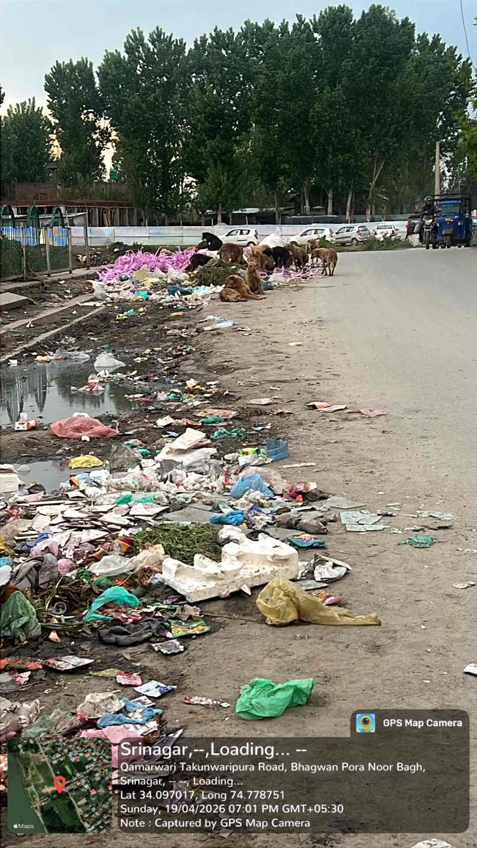 IamRaveed's tweet photo. The Commissioner, Srinagar Municipal Corporation @owais_ias 
Subject: Urgent Complaint: Neglected Waste Management at Baghwan pora Noor bagh Srinagar 

Dear Sir

I am writing to bring urgent attention to the state of waste management in the Baghwan pora Noor bagh near ismi Azam high school area. The attached images (with GPS coordinates) show large amounts of garbage piled near the chinar trees and along the roadside. Previously, dustbins were provided, but after assurances of home collection, neither dustbins nor regular service is in place.

This is not just an eyesore; it poses serious health risks. Just 5 meters ahead, there is a school, and this negligence could affect the health of children and residents. While I understand some littering comes from the public, the absence of a proper system is making the problem worse.

I urge you to either reinstate dustbins or ensure the promised home collection. Additionally, I request immediate clearance of the garbage near the chinar trees and roadside. Please act swiftly to protect our environment and public health.

@rtimuzaffar 
@SMC_Srinagar 
@SMC_24x7 
@OfficeOfLGJandK 
@CM_JnK 
@srinagaradmin