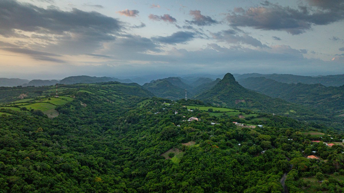 Ministerio de Medio Ambiente tweet media