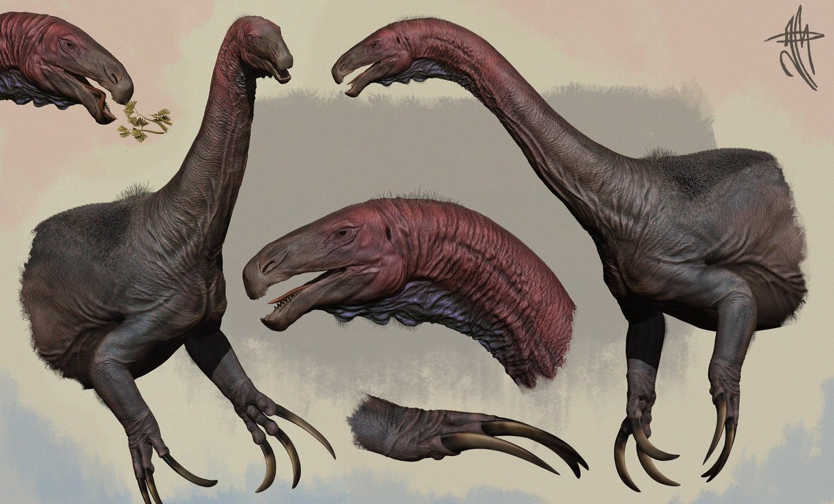 _themingau's tweet image. Therizinosaurus

#paleoart #3d