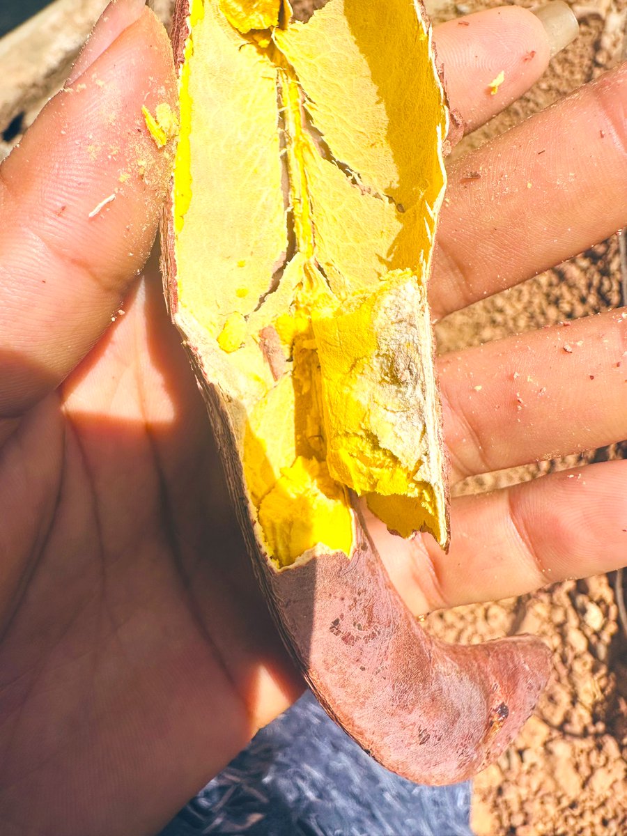 Guinea Culture&Tourism🇬🇳 tweet media