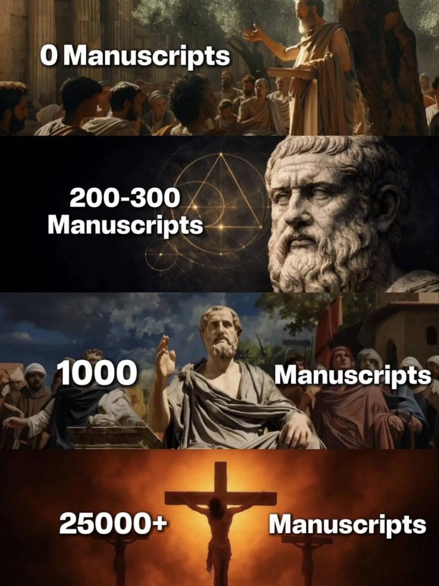 Isabella🇻🇦Aurelia tweet media