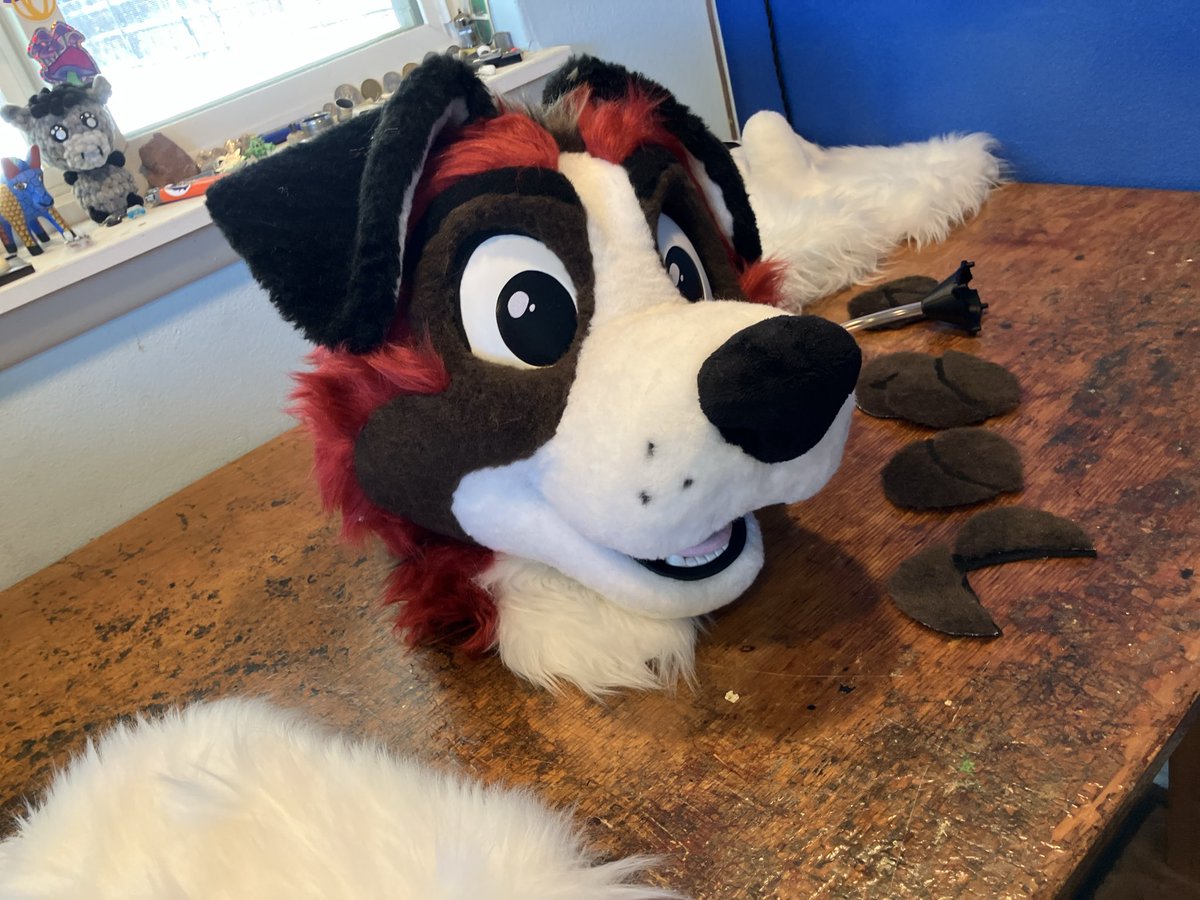 High-Vis Dog in an Outfit tweet media