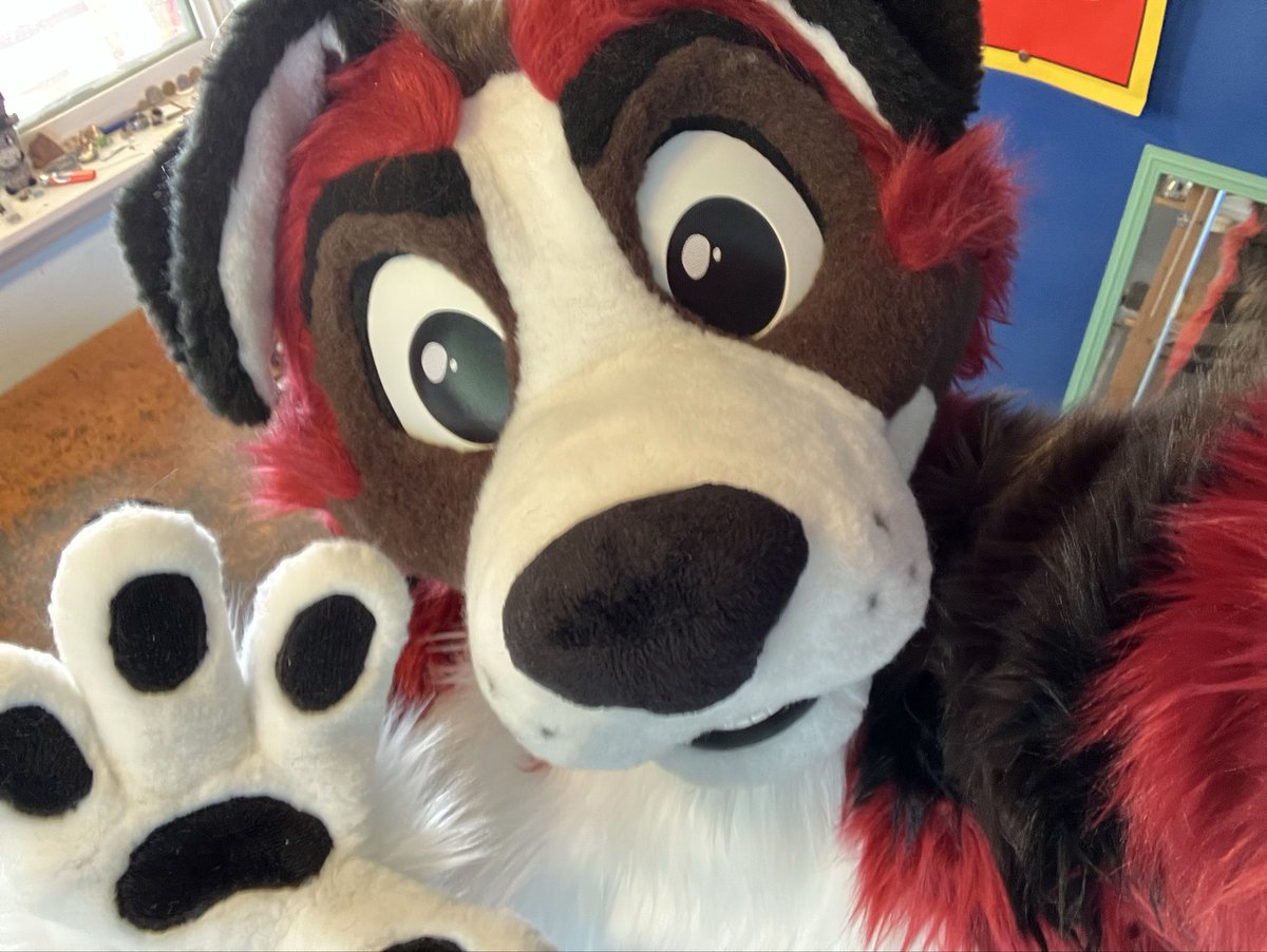 High-Vis Dog in an Outfit tweet media