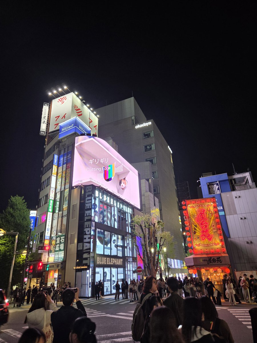 KEN_777P裏垢@新宿歌舞伎町 tweet media