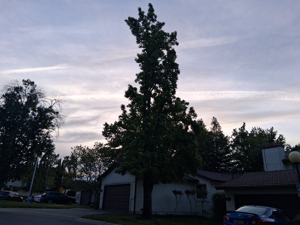 mjmd91776's tweet image. Rain predicted in Northern CA
6 am 4/19/2026
Chemtrails still visible
Purpose?  Weather modification?
@realDonaldTrump 
@OTFWithDRS 
@nogps1 
@TheGeoFight_com 
@RenzTom 
@Chemtrail101 
@DaneWigington 
@RepKiley 
@epaleezeldin 
@CAUndergound 
#MAHA