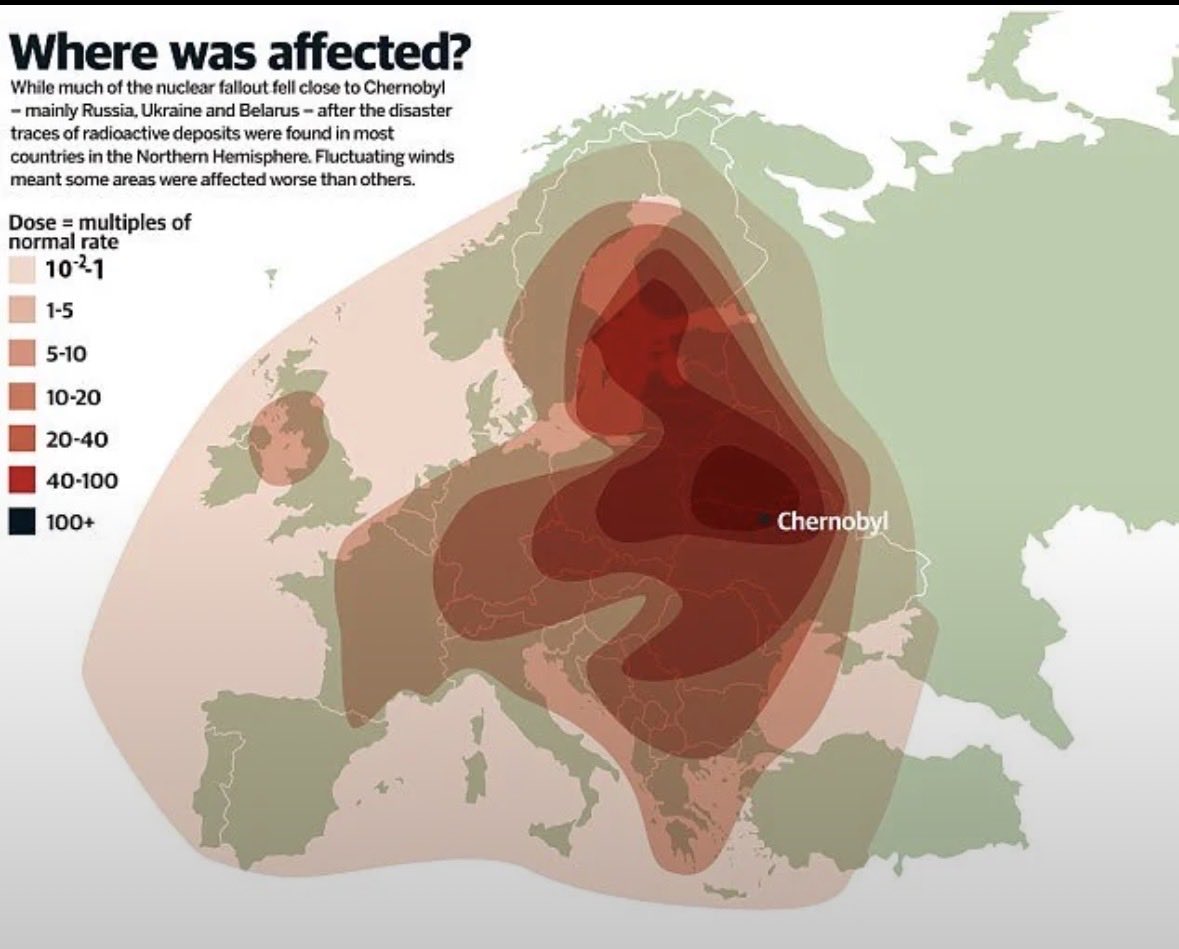 century of s u i c i d e tweet media