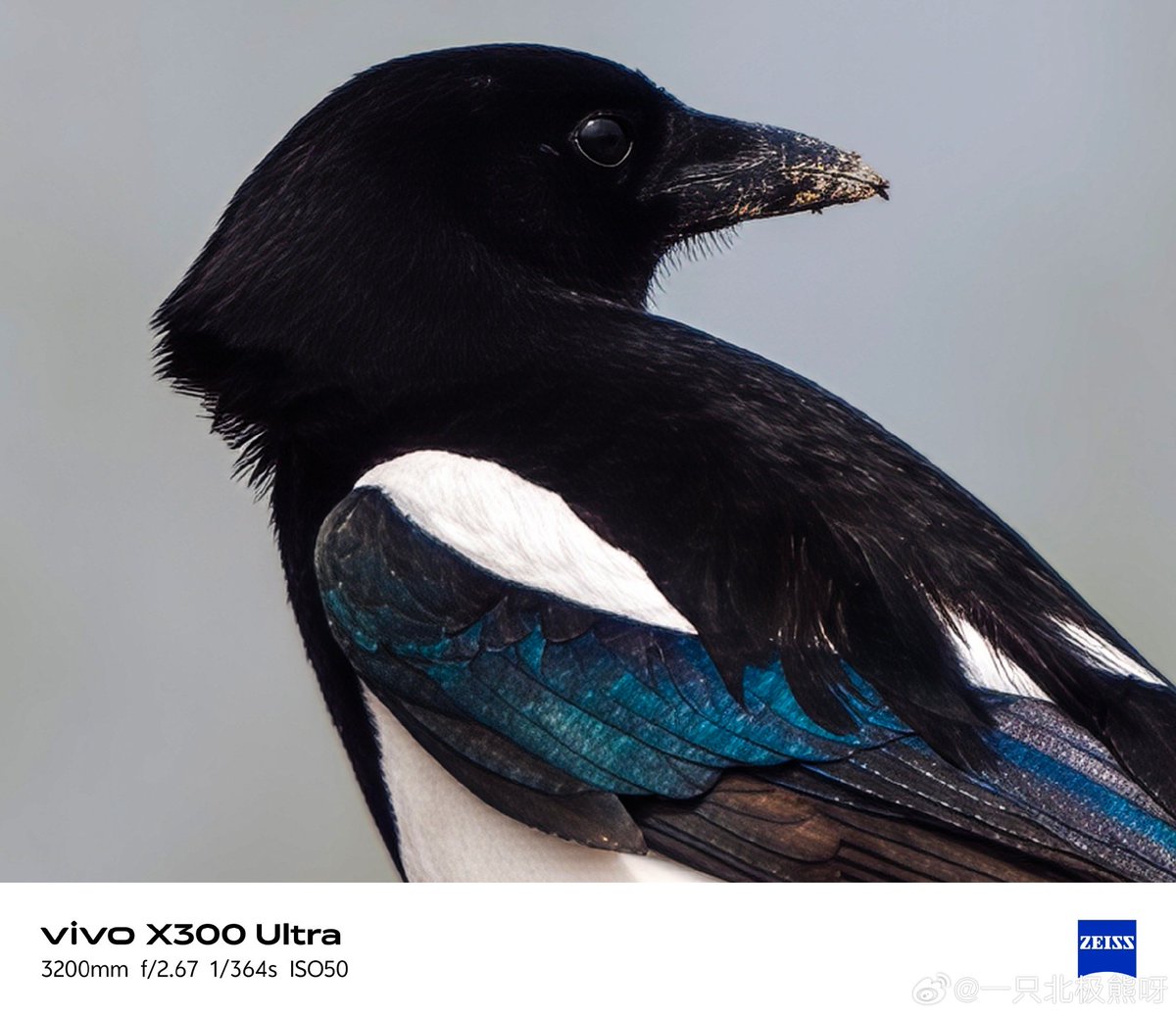 ayansonunigam's tweet image. Vivo X300 Ultra 🚨 

Camera samples 👇 Using 400mm Teleconverter 🤩
#vivo #vivoX300Ultra #OriginOS6