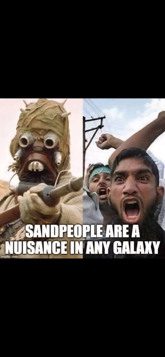 KatzeMitFallschirm 🇩🇪💙🇩🇪💙🇩🇪 tweet media