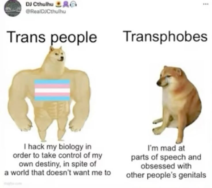 Eleanor 🇵🇸🏳️‍⚧️ 🇸🇪 ☭ tweet media