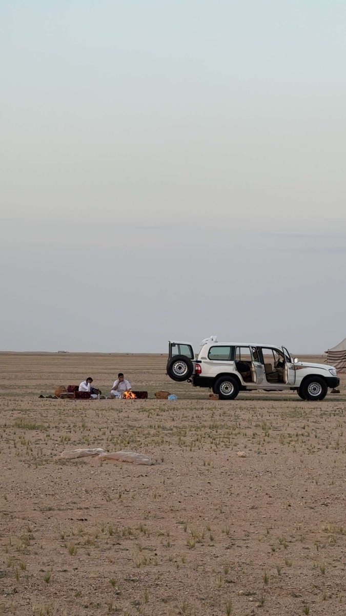 لقى ‏𓅓 tweet media