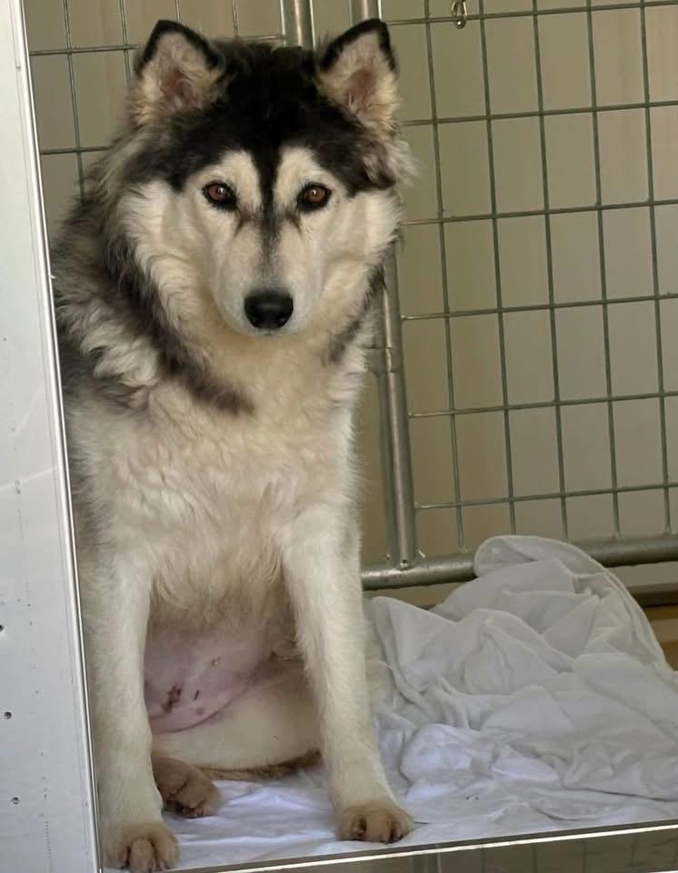 Fionaismybitch tweet media