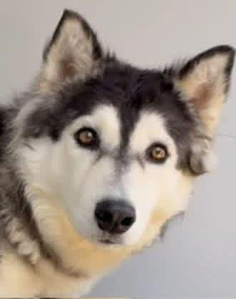 Fionaismybitch tweet media