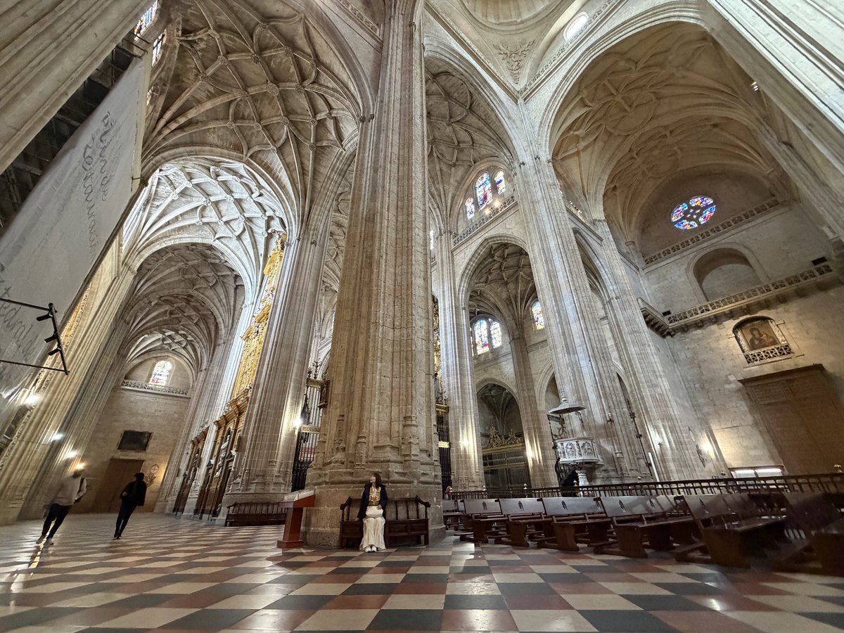 荒木 美鈴🔔ゲーミングMC®️ tweet media