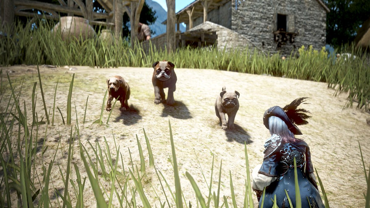 並んで散歩する仲良しわんこたち。
利き前足までおそろい！

#黒い砂漠 #黒い砂漠PC