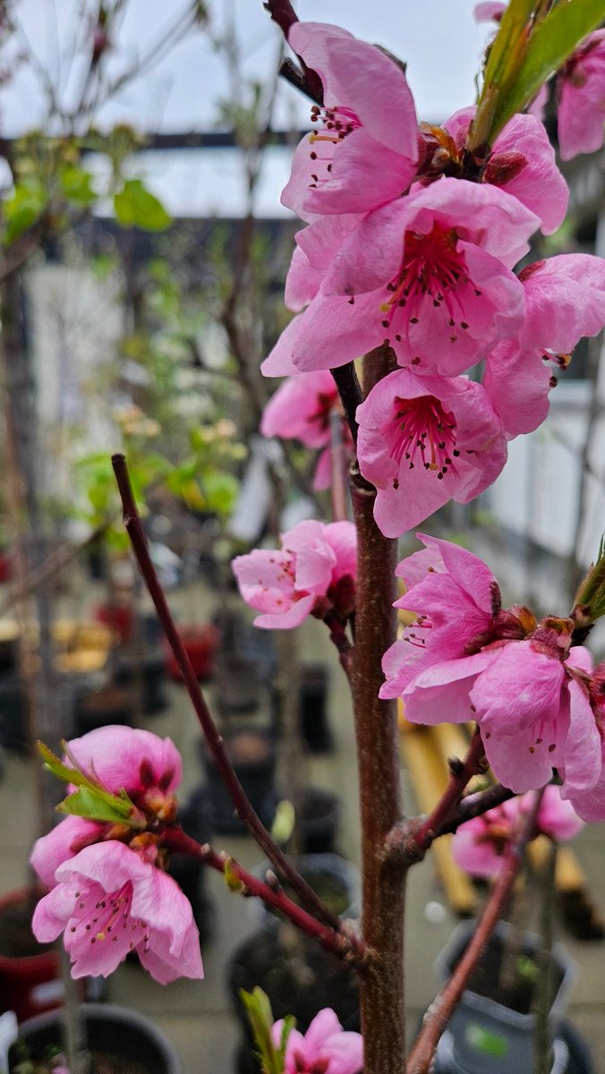 Skumbill tweet media