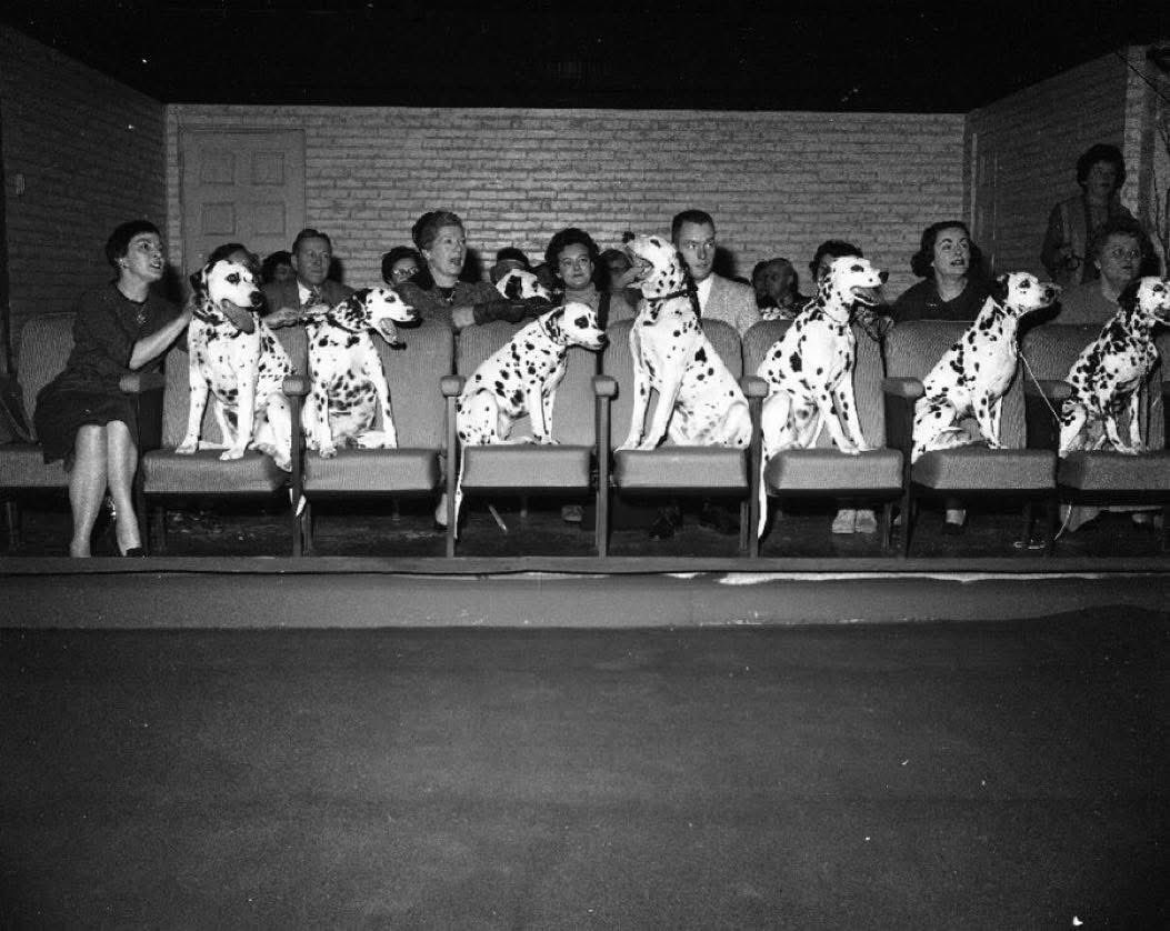 A special viewing of 101 DALMATIANS in the 7th floor screening room of the Chicago Theatre in 1961.