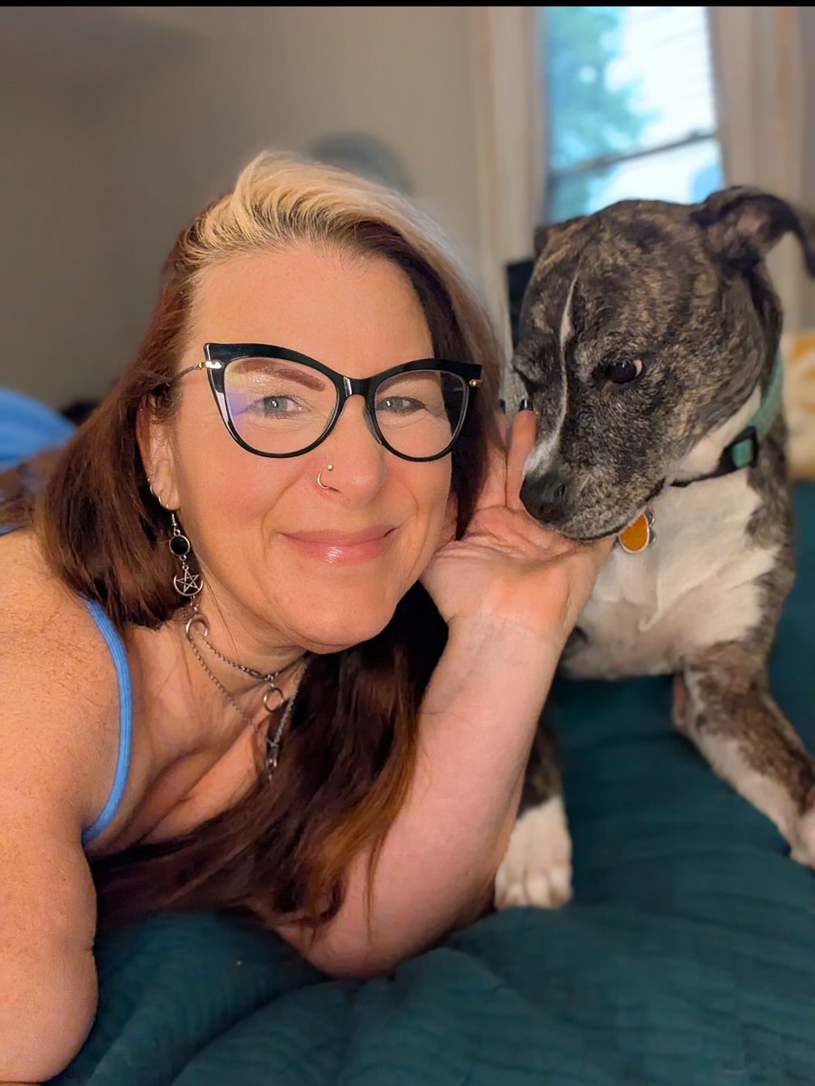 Istielthia tweet media