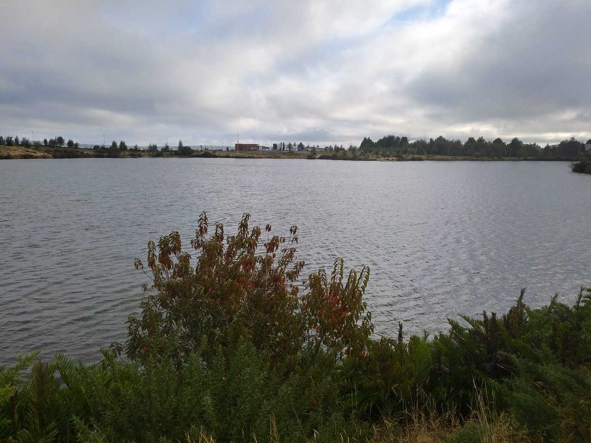 KMarestyrth's tweet image. Archivo de imágenes y recortes recopilados por Marcos Andrés Barros Ketterer. Marestyrth. #images #image #PtoMontt #Chile #PuertoMontt #RegiónDeLosLagos #RegionDeLosLagos #picture #pictures #photo #MarcosAndrésBarrosKetterer #Marestyrth #Photographer #Photography #Landscapes