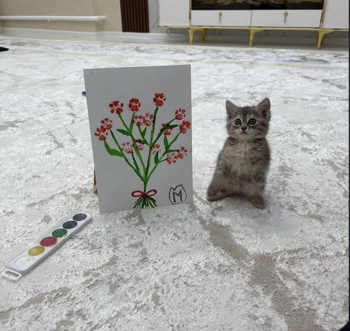 مُرجان tweet media